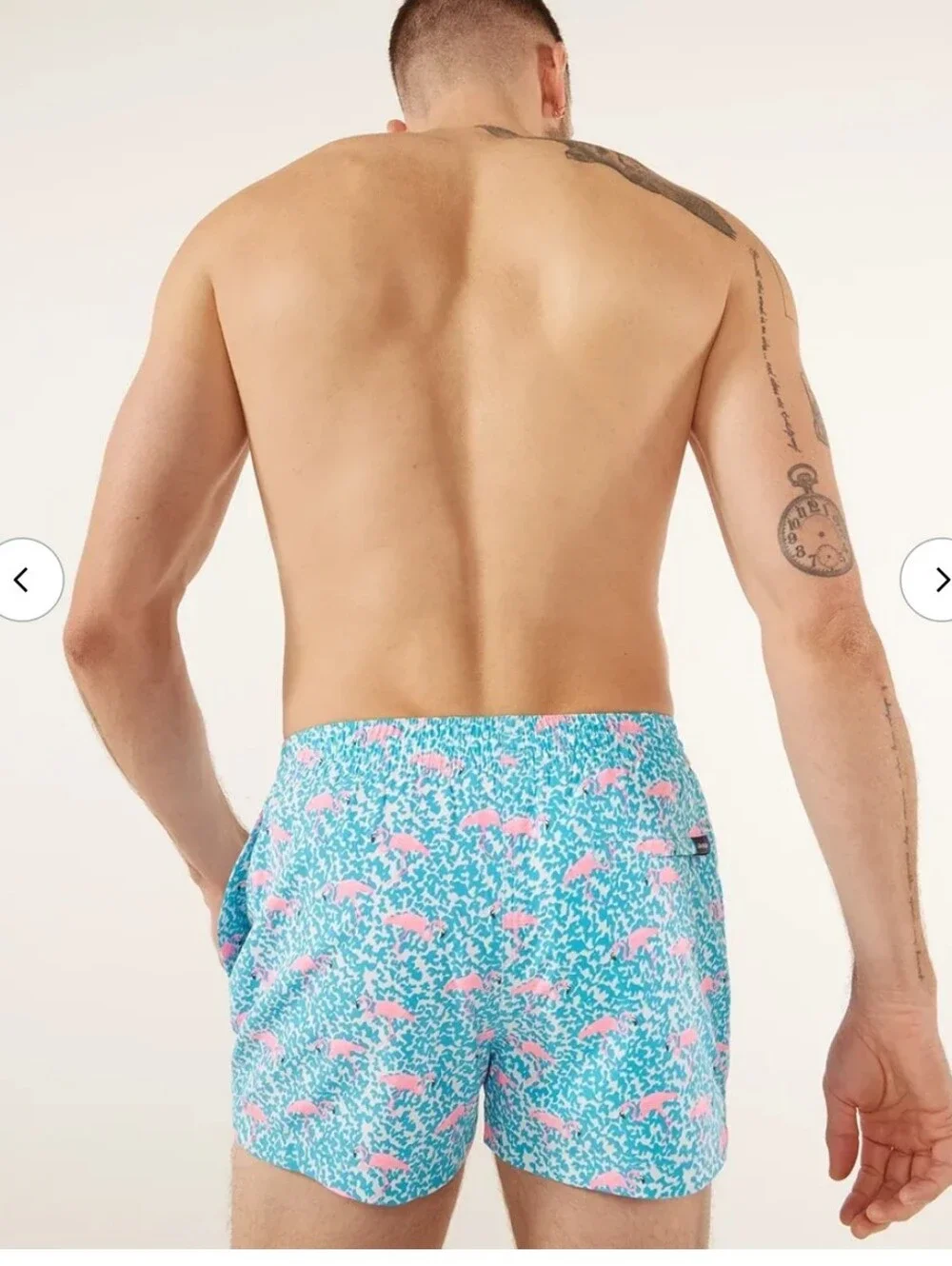 Chubbies Lined Classic Swim Trunk - The Domingos Are For Flamingos 4